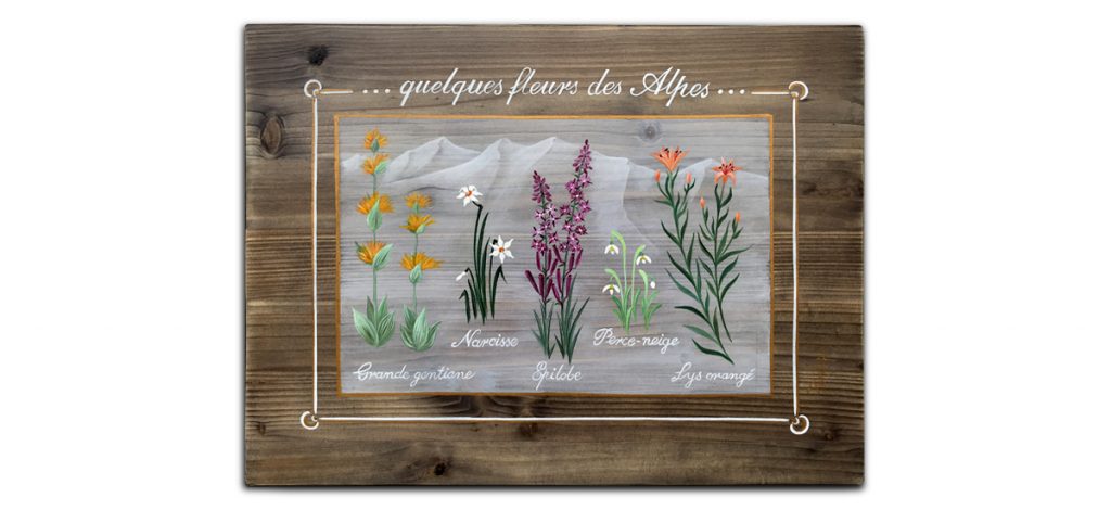 fleurs des alpes