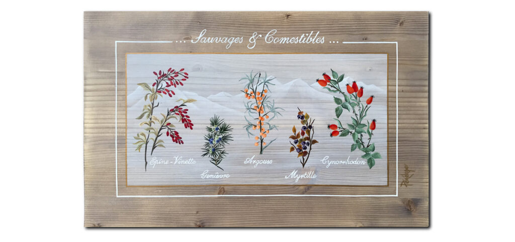 acrylique sur pin de fruits sauvages